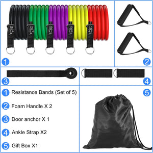 Resistance Bands Set 11pcs, Exercise Bands Fitness Workout with Wide Handles, Door Anchor, Steel Clasp, Carry Bag, Ankle Straps for Home Gym Outdoor Physical Therapy, Gym Training